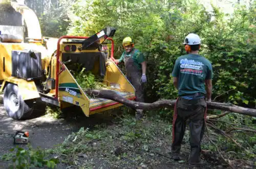 tree services Samoset